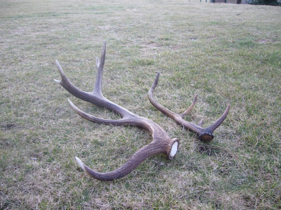 První jarní odpoledni procházka