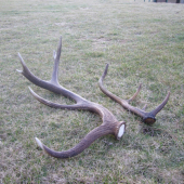 První jarní odpoledni procházka