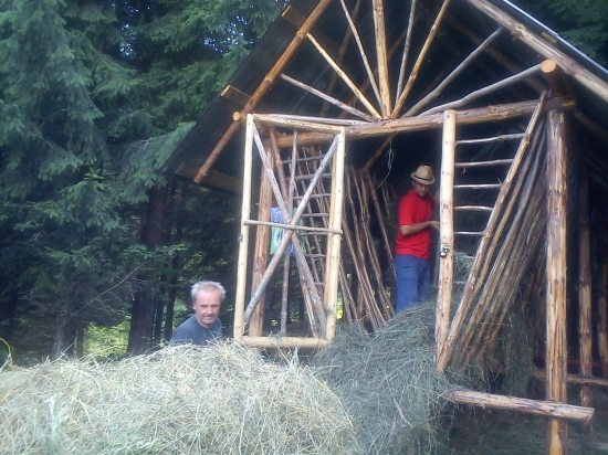 plnenie nového krmeleca