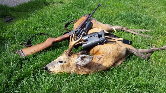 Poctivo vysedená III