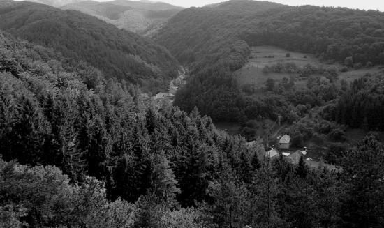 šašovské podhradie