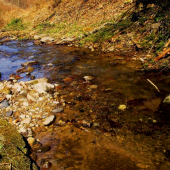 Istebný potok-jar 2011