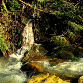 pri istebnom potoku........