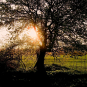 pri západe slnka.......