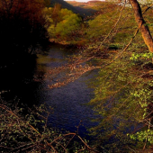 Hron pri jarnom západe Slnka,,,,,