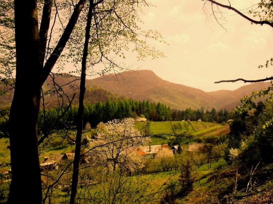 jarná Bukovinka.....