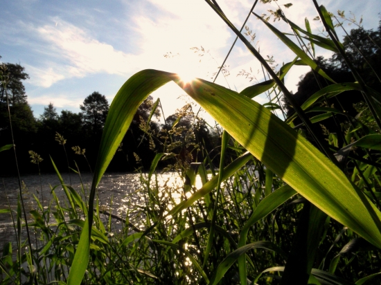 v jeden jarný podvečer