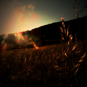 letný podvečer.....,.,,,,