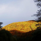 moje foto začiatky...