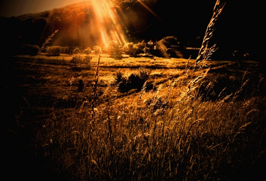 spomienka na leto...