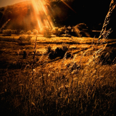 spomienka na leto...