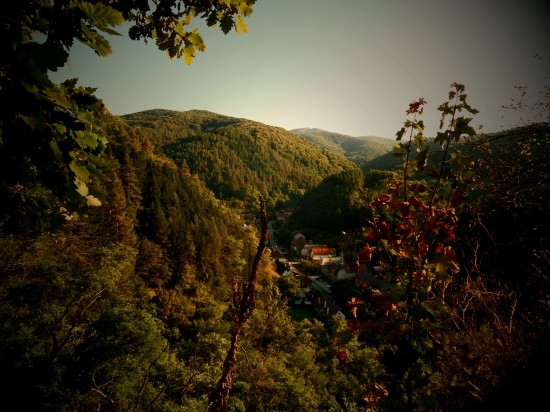 môj rodný šašov...