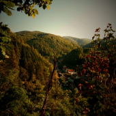 môj rodný šašov...