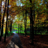 jesenné impresie...