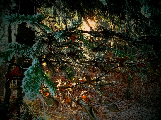 jesenno-zimná