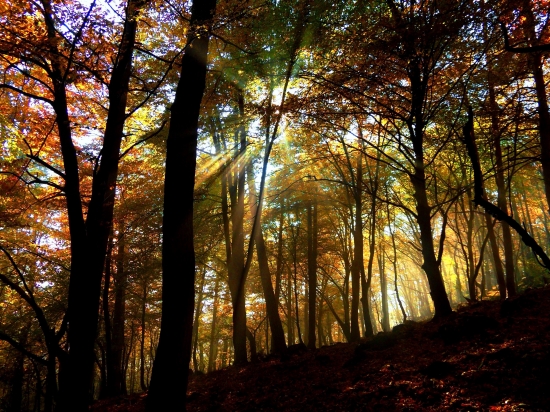 nádherná jeseň...