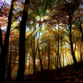 nádherná jeseň...