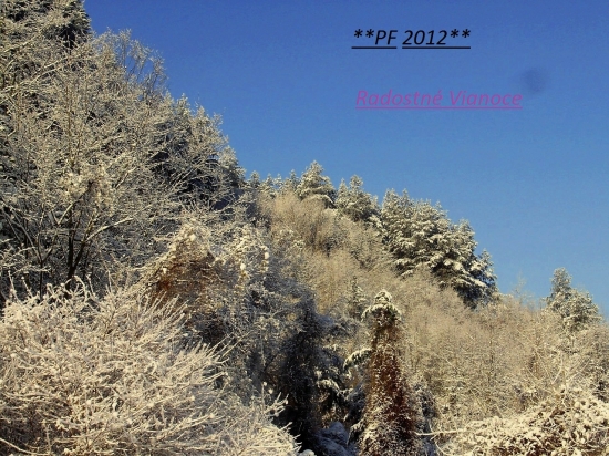 Krásne Vianoce a šťastný nový rok 2012 všetkým....