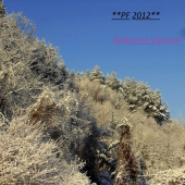 Krásne Vianoce a šťastný nový rok 2012 všetkým....