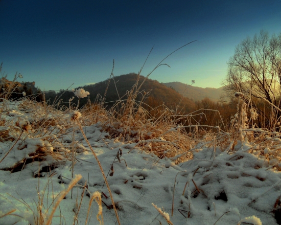 zasnežené ráno....