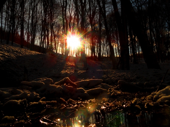 keď zima čaruje....