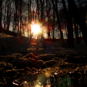 keď zima čaruje....