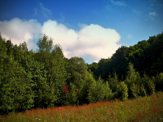 spomienka na leto....
