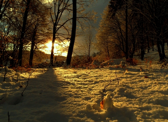 očarujúce zimné ráno.....