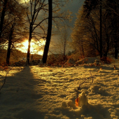 očarujúce zimné ráno.....