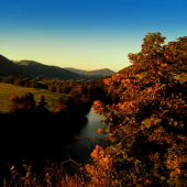 spomienka na leto....