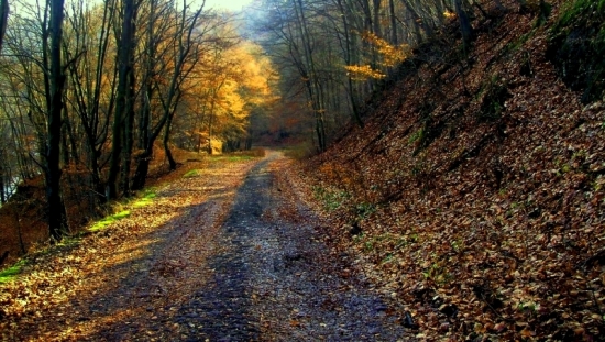 moje foto začiatky...