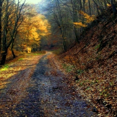 moje foto začiatky...