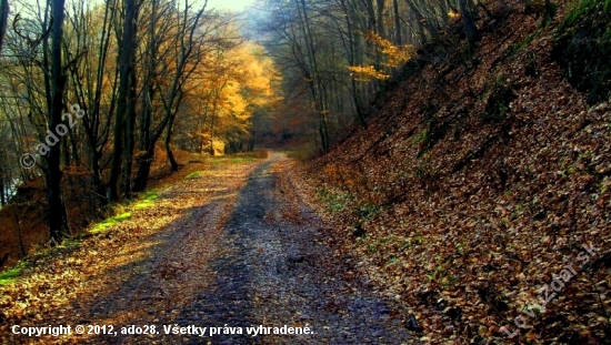 moje foto začiatky...