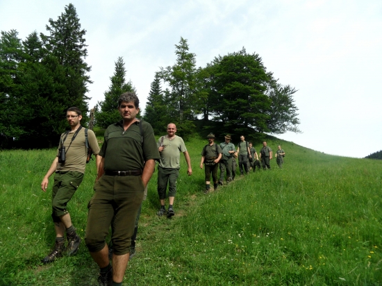 dole na Košariská,.