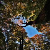 jesenný podvečer..