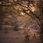 rozprávkový šášov