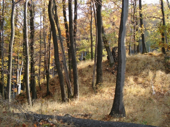 cesta na suť