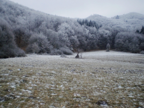 zima 2007