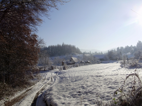 Bukovinka-zima