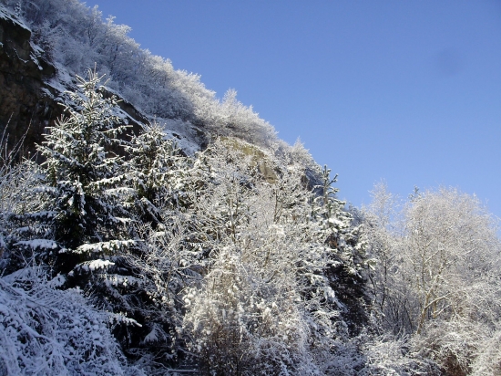 zimná rozprávka 2010