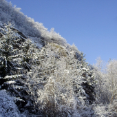 zimná rozprávka 2010