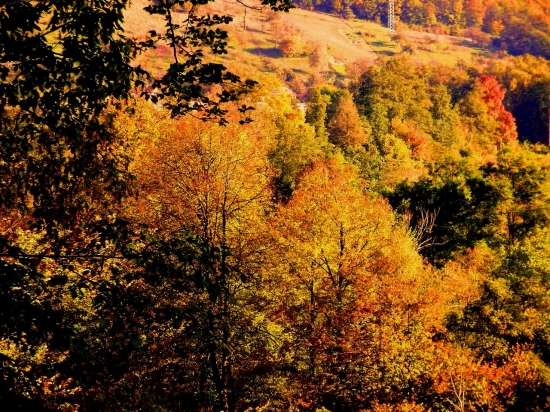 očarujúca jesen 2009