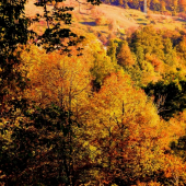 očarujúca jesen 2009