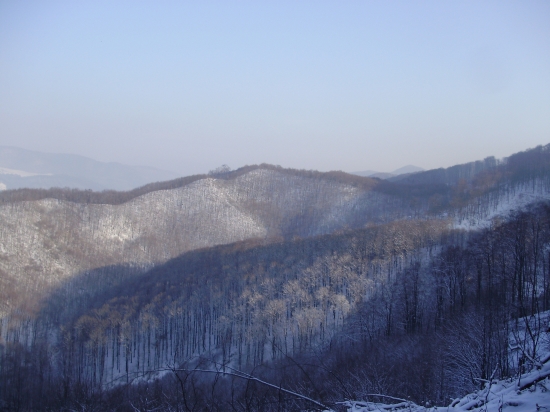 Zima 2010-