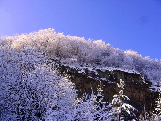 Zima 2010-