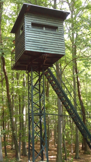 Vysledok dvoj mesacnej prace mna a mojich dobrych priatelov