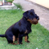 CID z Ladiec dáva pozor