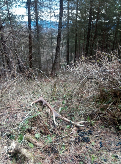 Malý, ale potešil.