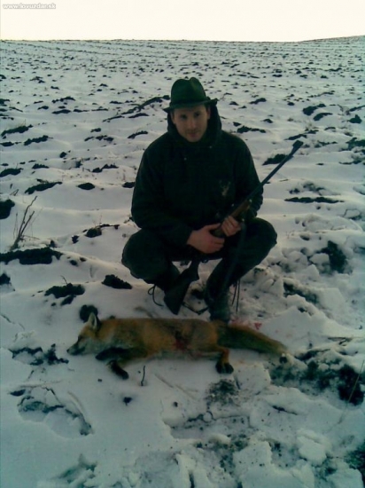 Líška na 60 krokov .22LR