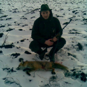 Líška na 60 krokov .22LR